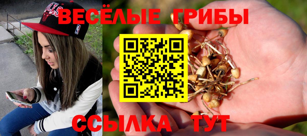 Галлюциногенные грибы прущие грибы  Вход с VPN  Псилоцибиновые грибы Psilocybine cubensis  Ростов-на-Дону 